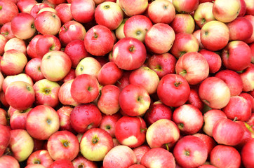 Apples