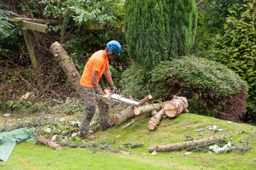 Woodcutter