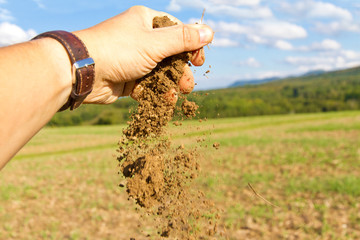 Ackerboden in der Hand
