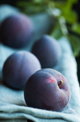 Freshly Picked Plums