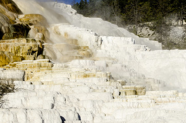 Mammoth Hot Springs in Yellowstone