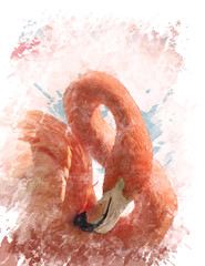 Naklejka premium Watercolor Image Of Flamingo Bird