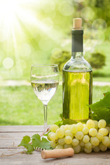 Obraz na płótnie Canvas White wine glass and bottle with bunch of grapes