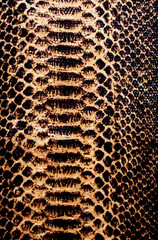 cloth texture