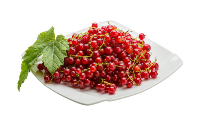 Red currant