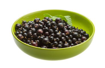 Black currant