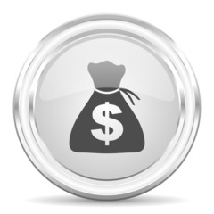 money internet icon