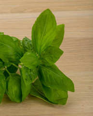 Basil leaves