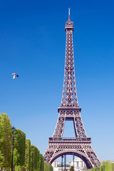 Taube und Eiffelturm