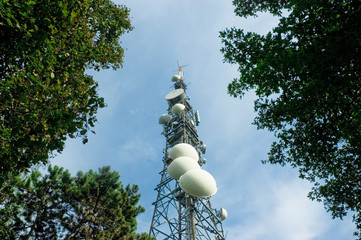antenna tra gli alberi