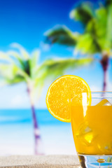  Orange cocktail drink