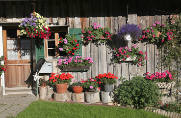 casa con flores