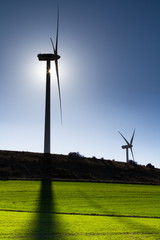 Fototapeta na wymiar Wind turbines in a field