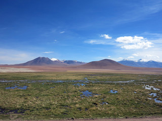 desert of atacama