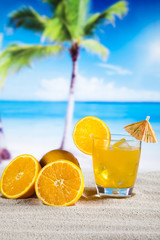 Orange cocktail drink