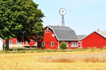 Farm with Windmill