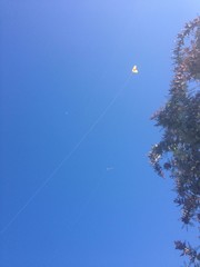 Far away kite.