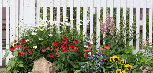 Old Fashioned Garden Fence
