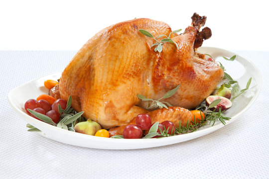 Roasted Turkey on tray over white