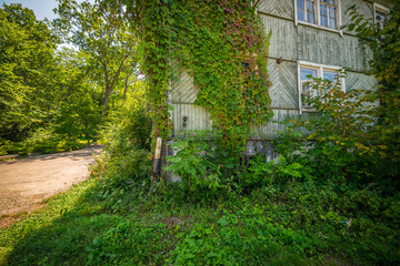 Old house covered with ivy. Selective focus on house.