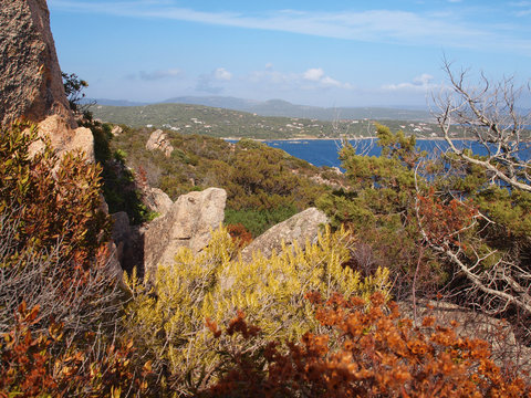 Korsika - R&eacute;serve naturelle des Bruzzi