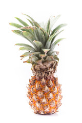 pineapple on isolated with space for your create