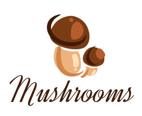 Fresh forest mushrooms