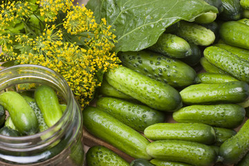 Pile of cucumber on the board for the canning and herbs.
