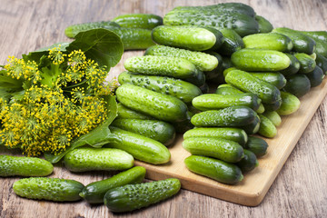 Pile of cucumber on the board for the canning and herbs.