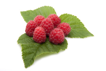 Raspberries are on the leaves raspberries on a white background.