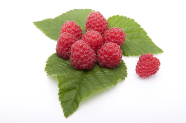 Raspberries are on the leaves raspberries on a white background.