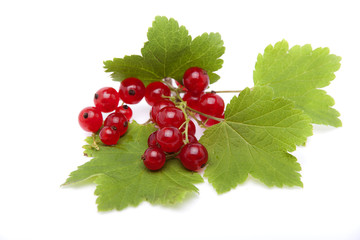 Red currant berries lying on the leaves of currants on a white b