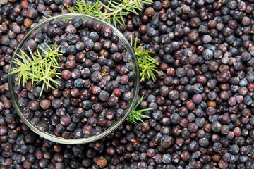 Juniper Berries background image
