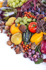 Autumn fruits, nuts and vegetables on white background