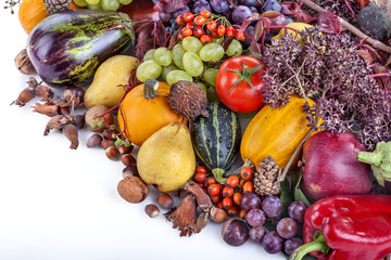 Autumn fruits, nuts and vegetables on white background