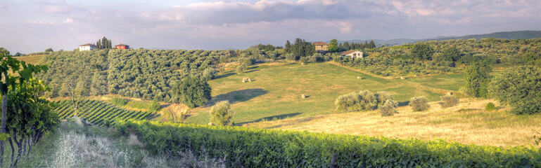 Fototapeta na wymiar Panorama of a Tuscan sunset landscape3