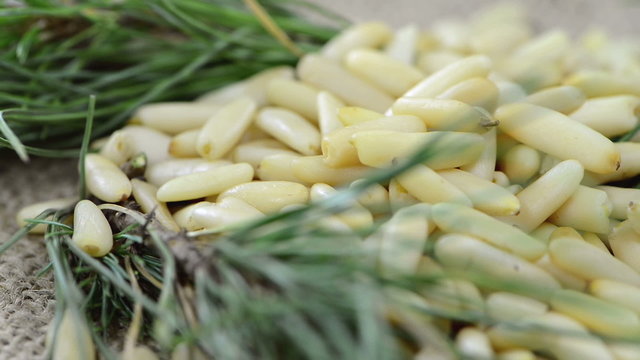 Portion of Pine Nuts (loopable)