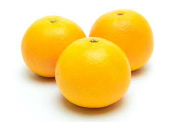 oranges isolated