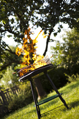 Naklejka premium Grill flame, hot burning 