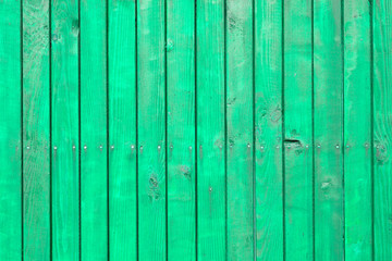 Naklejka premium The green wood texture with natural patterns