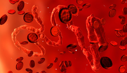 3d Digital illustration of Ebola virus, Microscopic view.