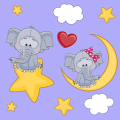Lovers Elephants