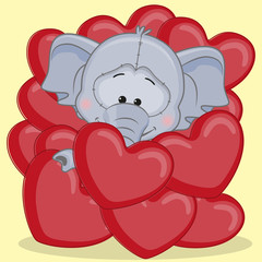 Elephant in hearts