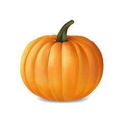 Pumpkin icon