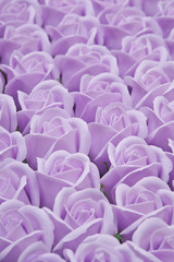 Obraz premium roses