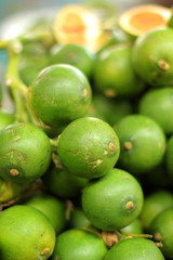 Betel palm on the wood.