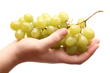 Bunch of organic grapes in hand