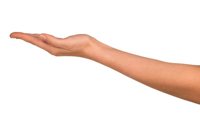 The open hand of a young woman