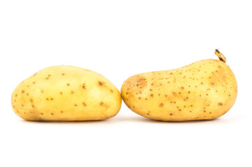 Potato
