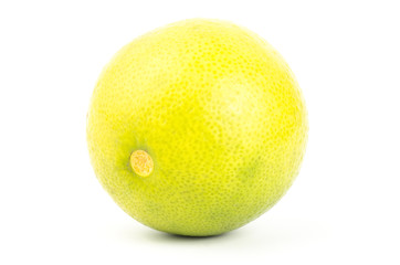 Lime